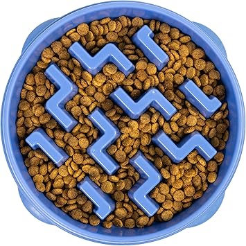 Best Slow Feeder Dog Bowls in 2026: Our Top Picks