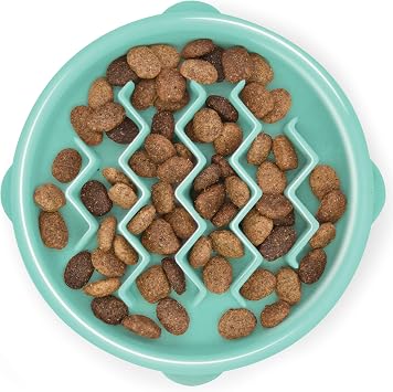 Outward Hound Fun Feeder Slo Bowl Small