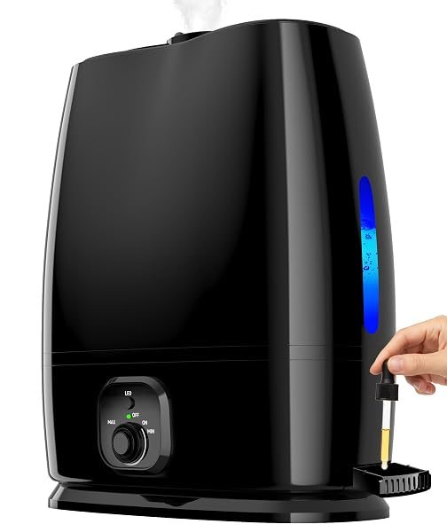 Everlasting Comfort 6L Humidifier