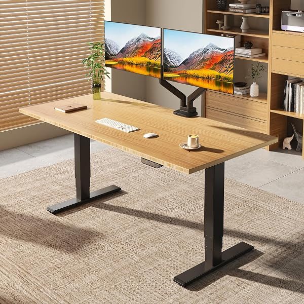 FLEXISPOT E6 MAX Dual Motor Standing Desk