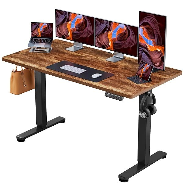 ErGear Height Adjustable Electric Standing Desk