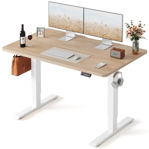 FEZIBO Standing Desk (48in x 24in)