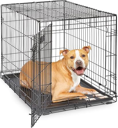 Best Dog Crate 2026: 1 Pick for Most Dogs, 4 for the Hard Cases