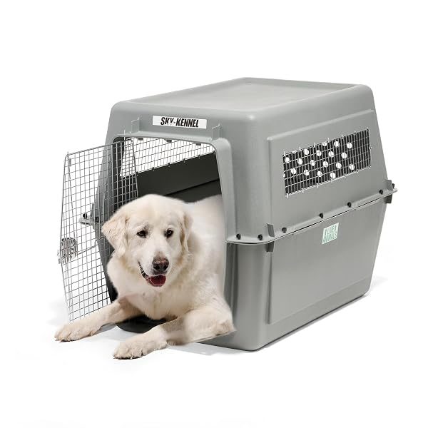Petmate Sky Kennel 48-inch IATA compliant airline travel dog crate